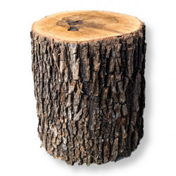 TEST-physical item