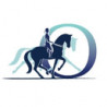 Omnihorse IVS